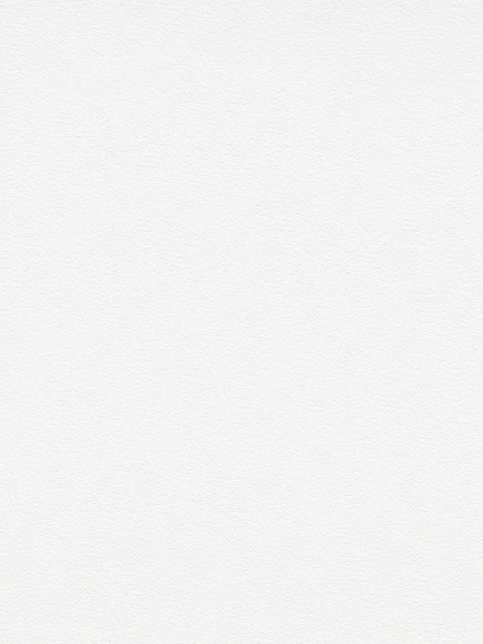 티타늄화이트 이미지